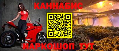 альфа пвп Новокубанск