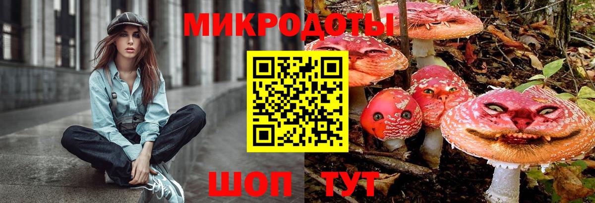Галлюциногенные грибы Psilocybine cubensis Черкесск